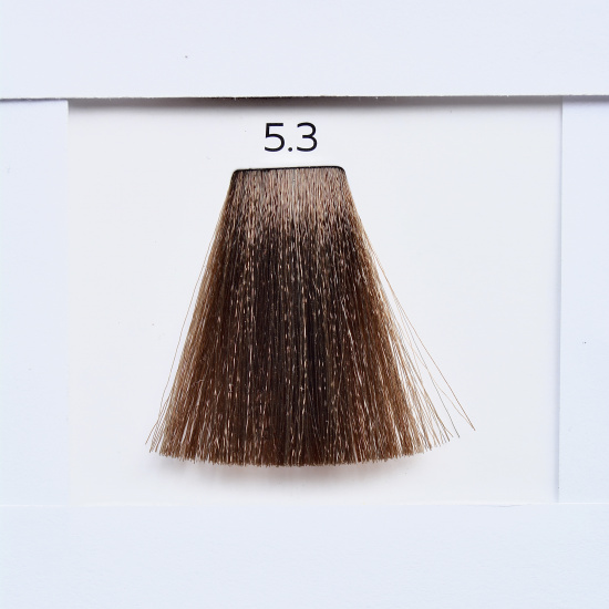 LUXOR PROFESSIONAL 5.3 Стойкая крем-краска для волос COLOR  фото 1